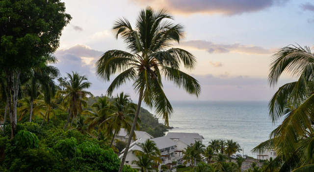 Descubr� Saman�, donde el mar abraza la selva  2