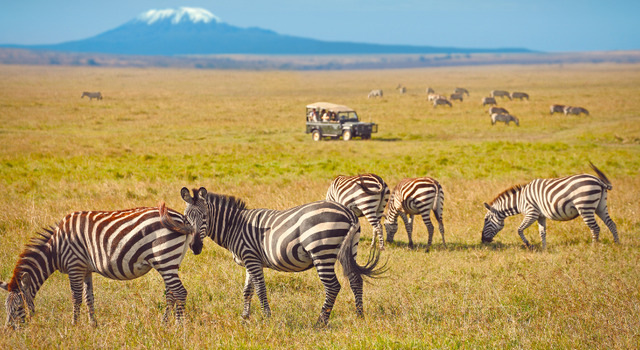 RASHARASHA 070 (noche pre Nairobi incluida) 5