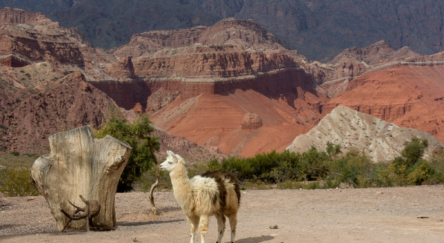 Salta Cl�sica en feriados 3