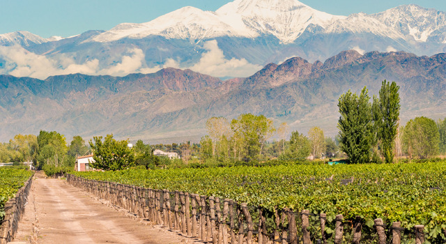 Mendoza: Ruta del Vino del Sur 2