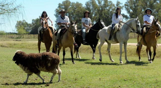 Conoc� las ra�ces argentinas en Areco 5