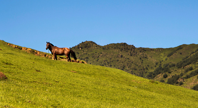 Feriados en Tucum�n, Taf� del Valle y Quilmes, el combo perfecto 3