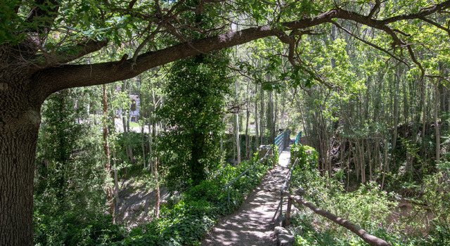 Escapate a recorrer la Reserva Villavicencio 5