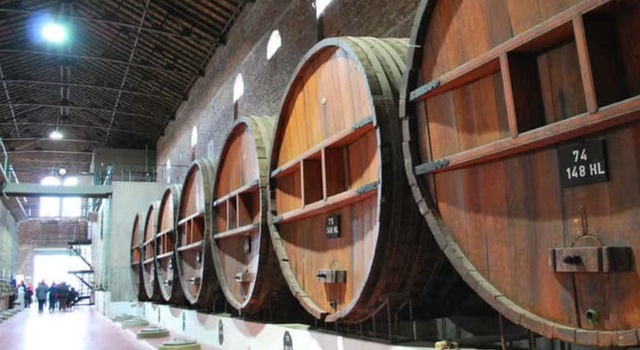 Esencia Cordobesa: Bodega en Colonia Caroya 3