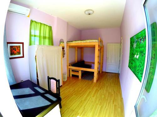 Funky Monkey Hostel