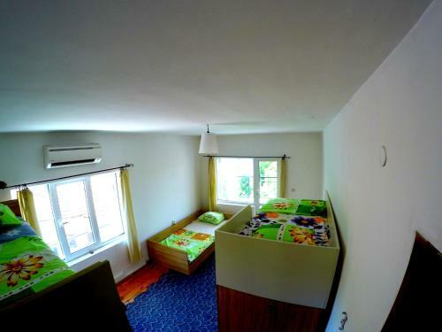 Funky Monkey Hostel