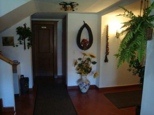 Hostal G�stehaus Treichl