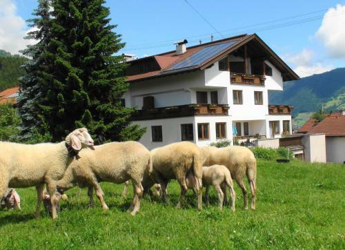 Hostal G�stehaus Treichl