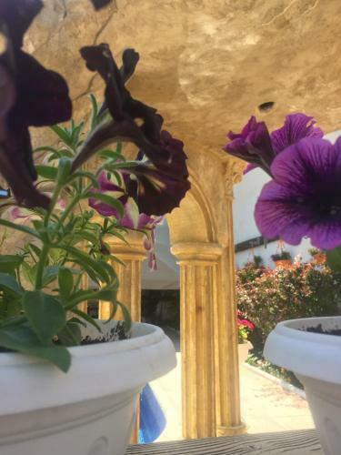Hostal Guesthouse Versailles
