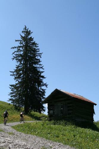 Hostal Haus Alpenecho