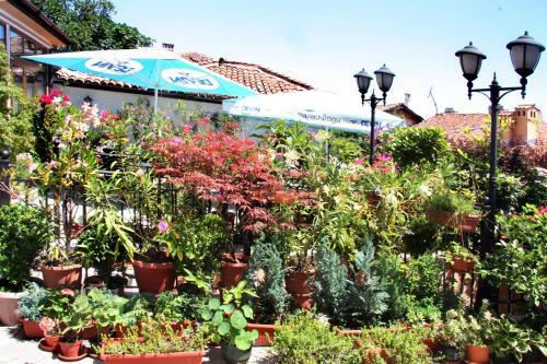 Hotel Alafrangite