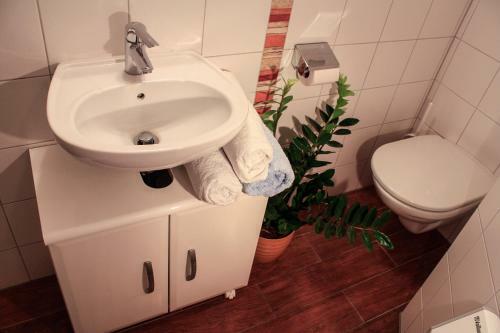 Pro's Apartment