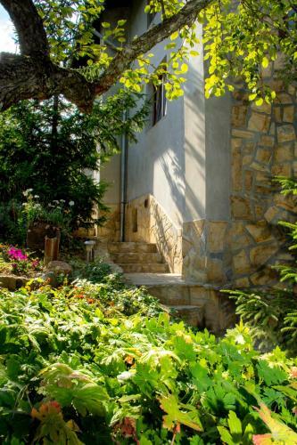 Villa Pontica