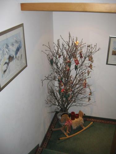 Bed & Breakfast Pension Muggengrat
