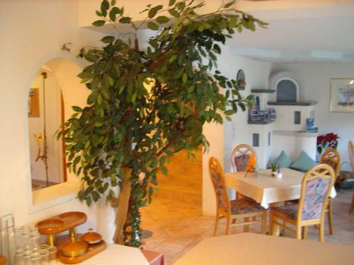 Hostal Haus Romantika