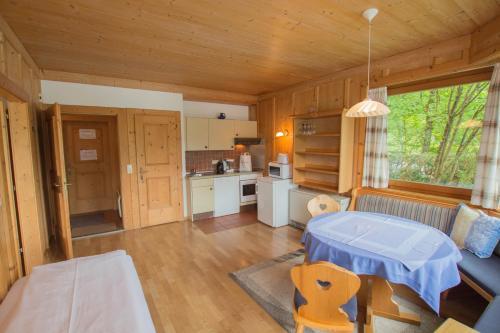 Waterfront Apartments Zell Am See - Steinbock Lodges
