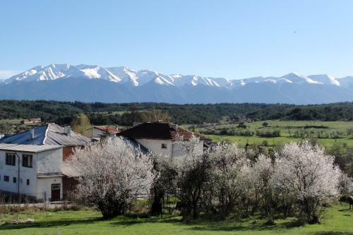 Predela 2 Aparthotel