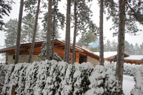 Villa Alisa Bansko
