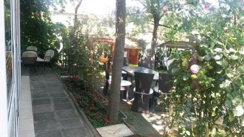 Atm Hotel Gracia