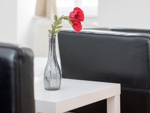 Apartamentos Central Vienna-living