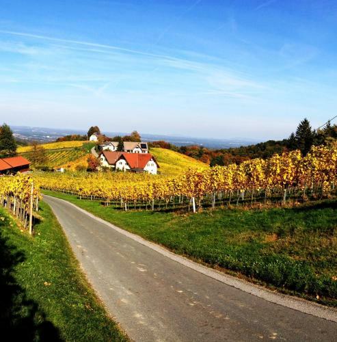Bed & Breakfast Weingut Schwarzl