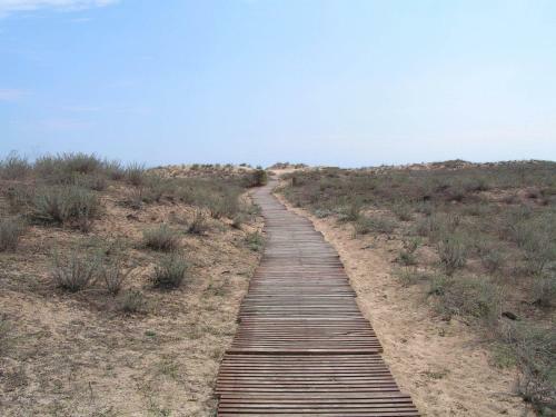 Golden Dunes Primorsko Apartments