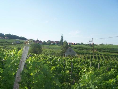 G�stehaus Radl