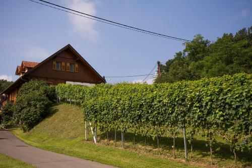 G�stehaus Radl