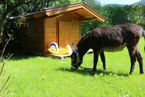 Apartamento Matzhof