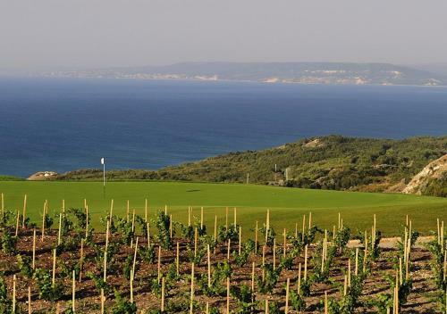 Hotel Club Residence At Blacksearama Golf