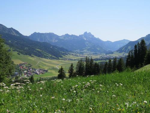 Apartamento Haus Baumgartner