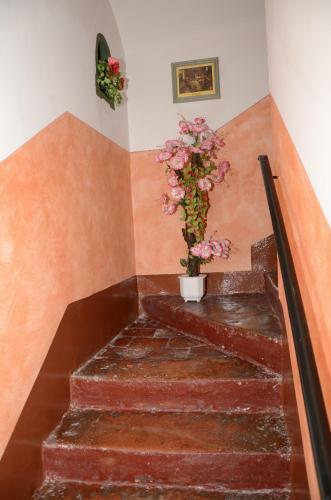 Hostal Gasthaus Hinterbr�hl