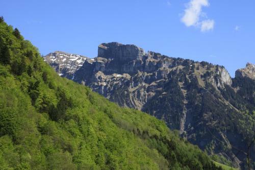 Alps Hoamat