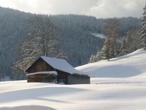 Apartamento Ferienwohnung Bergblick