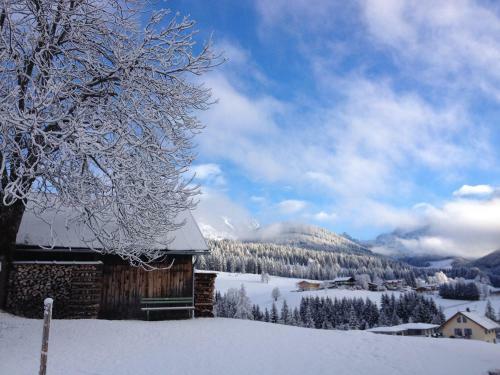 Apartamento Ferienwohnung Bergblick