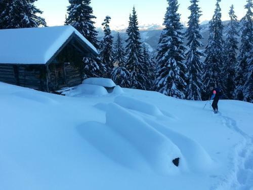 Apartamento Ferienwohnung Bergblick