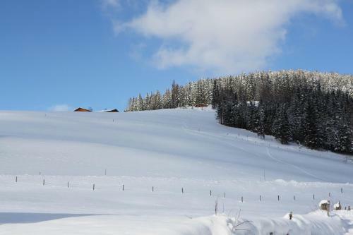 Apartamento Ferienwohnung Bergblick