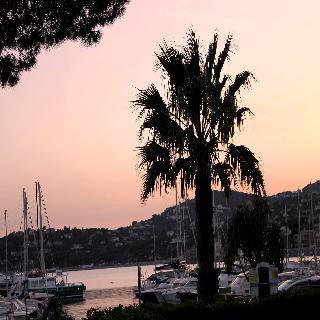 Hotel Les Palmiers