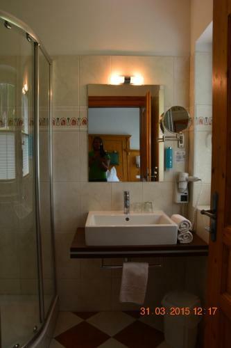 Hostal Apart-pension Wesenauerhof
