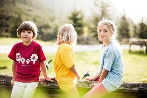 Hostal Alpenpension Pfurtscheller