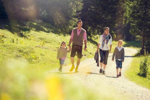 Apartamento Alpenhof