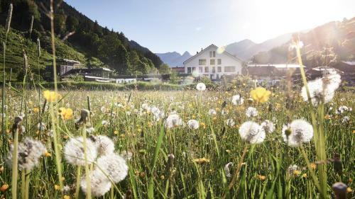Hotel Wiesergut