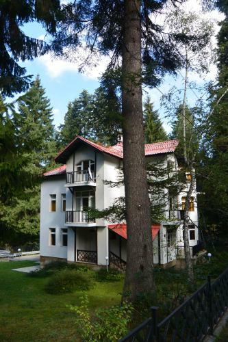 Villa Elena