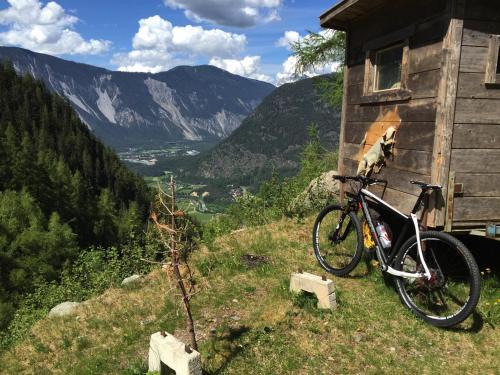 Apartamento Haus Fiegl