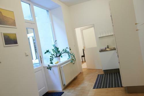 Viennaflat Apartments - Franzensgasse