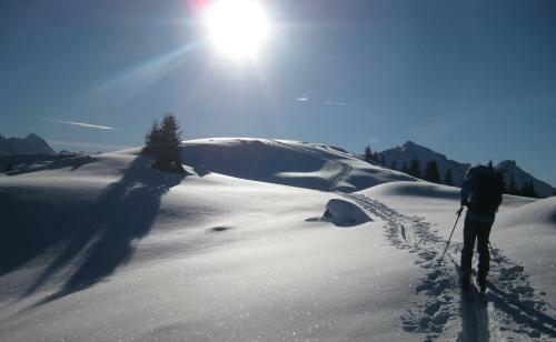 Hostal Pension Steiermark