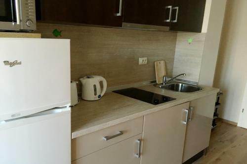 Deluxe Private Apartment
