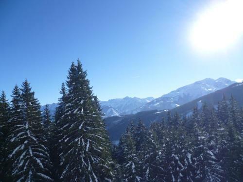 Apartamento Kitz Residenz Top 6