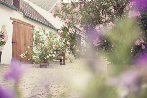 Hostal Winzerhof Agerlhof