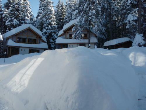 Saint George Holiday Village